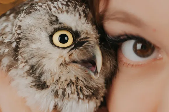 Casino Fever Bingo Support